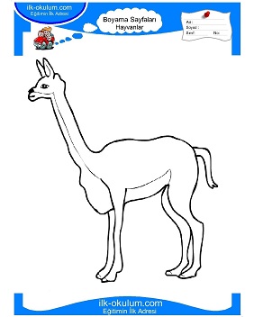 Çocuklar İçin Lama Boyama Sayfaları 